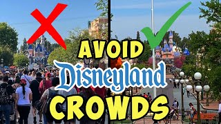 Least Crowded Times to Visit Disneyland When to Visit in 2024 [upl. by Janeva]