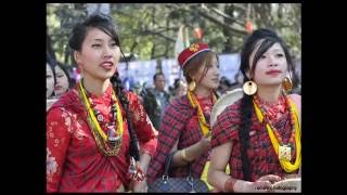 New Tamang selo songs 20162073  Aakash Tamang  Joban Dhalkera Gaisakyo Maichang [upl. by Tara]