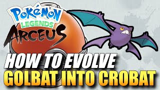 Pokemon Legends Arceus  How To Evolve Golbat Into Crobat  How To Get Crobat [upl. by Frazier843]