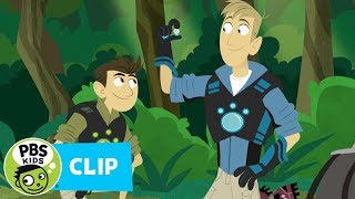 WILD KRATTS  Rainforest Adventure  PBS KIDS [upl. by Trinity]