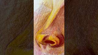 Colour Pencil Nose Drawing  Time Lapse Portrait Art art eyeart [upl. by Dobrinsky]