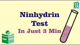 Ninhydrin Test Just in 3 min [upl. by Sherrard]