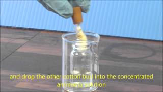 Ammonia amp HCl Diffusion Demonstration [upl. by Mallory]