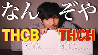 【話題】THCB・THCHとは [upl. by Sailesh]