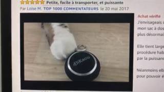 DIKAOU mini Bluetooth speaker and cat so cute right [upl. by Anij]