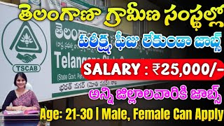 TGCAB Notification 2024  Latest Jobs In Telugu  TG DCCB Notification 2024  Jobs 2024 [upl. by Lauree895]