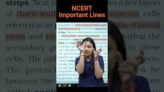 Pericycle  Biology NEET  NCERT important lines for NEET  ncert neet biology neetpreparation [upl. by Aytak]