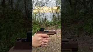 First shots wmy Sig Sauer P365XL Spectre Comp 9MM 31″ Barrel Coyote 17 Rd w Holosun EPS Carry [upl. by Beal761]