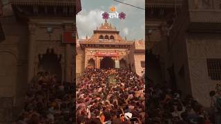 shreee ladli radhe vrindavan  viral shorts [upl. by Cathy]