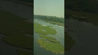 Chambal River MADHYAPRADESH RIVER CHAMBAL TRAVEL [upl. by Fanchie]