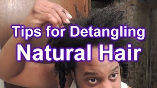 450  How to Easily Detangle Your NATURAL HAIR [upl. by Ocir]