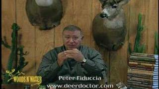 Deer Calling Tips Fawn Distress Bleat Sequence [upl. by Ahsinwad921]