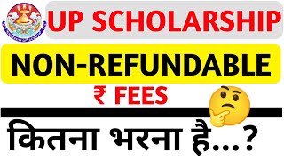 NON REFUNDABLE FEES  KITNA FILL KARU lucknowuniversity upscholarship [upl. by Ellahcim453]