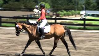 Dressage Training Level Test 3 [upl. by Koslo]