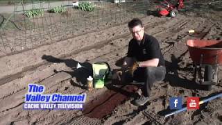 Planting Beets  Andersons Seed amp Garden [upl. by Stambaugh539]