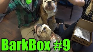 BarkBox Unboxing 9 September 2015 [upl. by Beaner]