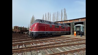 Besuch im Kulturlokschuppen Neumünster 30032024 modelrailroad deutschebundesbahn v200 [upl. by Aitret]