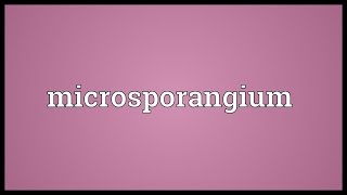 Microsporangium Meaning [upl. by Ardna265]