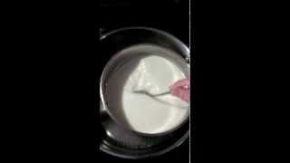 How to pasteurize goats milk [upl. by Lilhak]