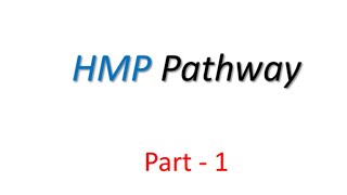 Hexose Monophosphate Pathway HMP I Pentose Phosphate Pathway Part1  Site amp Significance [upl. by Norrahs]