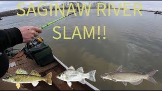 SAGINAW RIVER WALLEYE SLAM multi species [upl. by Malo]