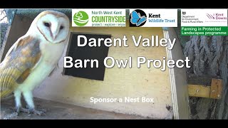 DVBOP sponsor an owl box [upl. by Reinhard499]