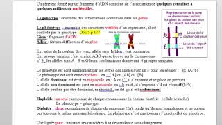 Term STAV Transmission génétique p12 [upl. by Ahsilat]