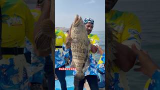 🏆Amazing size grouper caught by Team Malabari in 🇮🇳 First deep sea fishing competition by KXA 🏆 [upl. by Ainotal366]