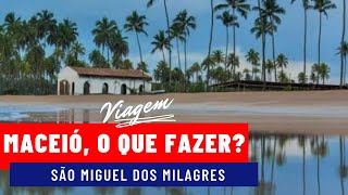 O que fazer em Maceió  São Miguel dos Milagres 🇧🇷 [upl. by Dnalhsa863]