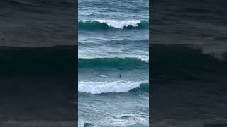 Surfing at Newquay Cornwall [upl. by Notsirk]