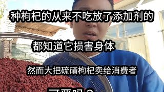 种植户怕死不敢吃化学枸杞，自己吃的啥也不放往出卖的各种化学品 [upl. by Libnah]