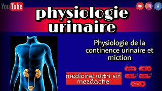 6 Continence Urinaire et Miction  Physiologie 2éme Med [upl. by Sublett]