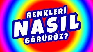 Renkleri Nasıl Görürüz [upl. by Croix]