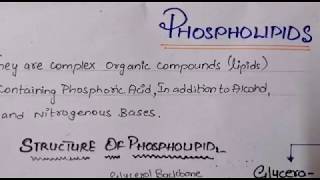 PHOSPHOLIPIDS BIOCHEMISTRY  GLYCEROPHOSPHOLIPID AND SPHINGOMYELIN  STRUCTURE AND FUNCTION [upl. by Pendleton]