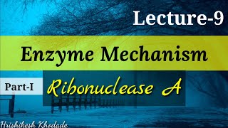 Lecture9  Enzyme Mechanism  Ribonuclease A Catalysis  Acid Base Catalysis type of Reaction [upl. by Kinnie]