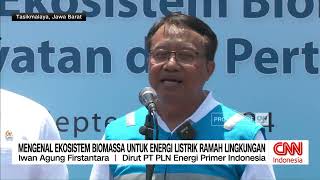 Mengenal Ekosistem Biomassa Untuk Energi Listrik Ramah Lingkungan [upl. by Allie620]