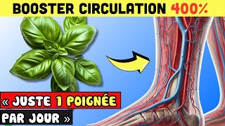 LUTTER CONTRE Mauvaise Circulation Jusqu’à 99 Avec Ces Herbes NATURELLES   Allez Santé [upl. by Ahsats]