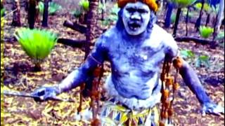 Yothu Yindi  Tribal Voice [upl. by Caria589]