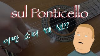 Sul Ponticello에 대한 모든것 쓰라는거야 말라는거야음향 상향 [upl. by Ranson846]