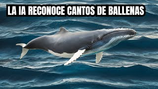 Una IA de Google reconoce cantos de ballenas [upl. by Dhruv]