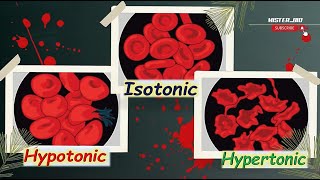 Isotonic Hypotonic and Hypertonic Solutions  Exploring Water Movement in Blood Cells 💧🔬 [upl. by Onaireves]