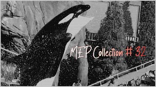 MEP Collection 32 [upl. by Gert]