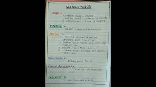 DELTOID MUSCLE ANATOMY NOTES [upl. by Annil883]