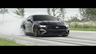 2018 Ford Mustang GT  Velgen Wheels Classic5  19quot [upl. by Arnst]