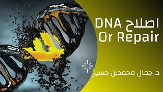 Repair of DNA إصلاح الدنا [upl. by Gaston573]