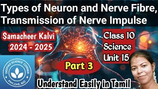 Types of Neurons and Nerve Fibres Transmission of Nerve Impulse Class 10 Science Term 1 Unit 15 [upl. by Gran]