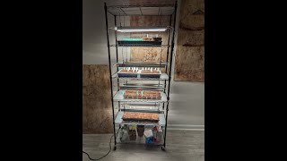 Setting up Grow Lights [upl. by Selohcin]