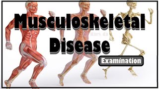 Musculoskeletal Disease Best Strategies for Success RN EXAMINATION [upl. by Tammy]