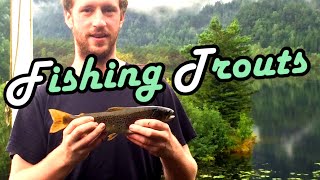 Norway  Fishing for Trouts Beginner style [upl. by Soma557]