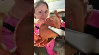 Dungeness CRABtackleshop dungenesscrab seafood oregoncoast crab crabboil crabbing love [upl. by Florella]